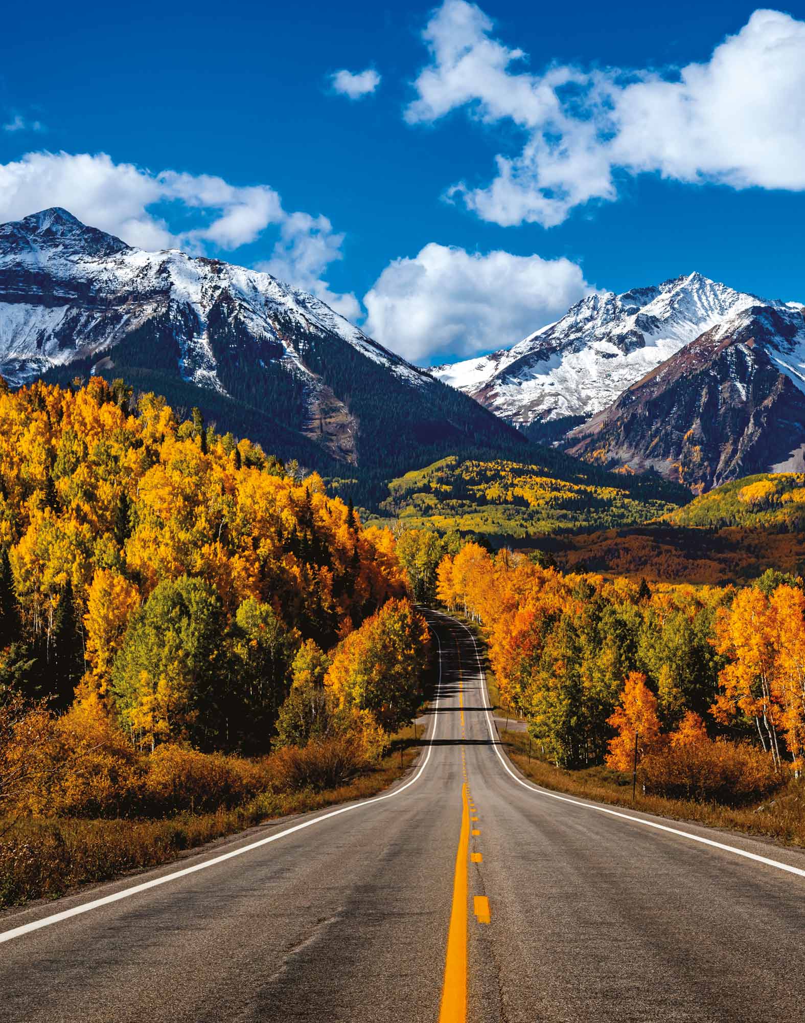 PULLIN FA2-VIEW BOXEUR – Image 2