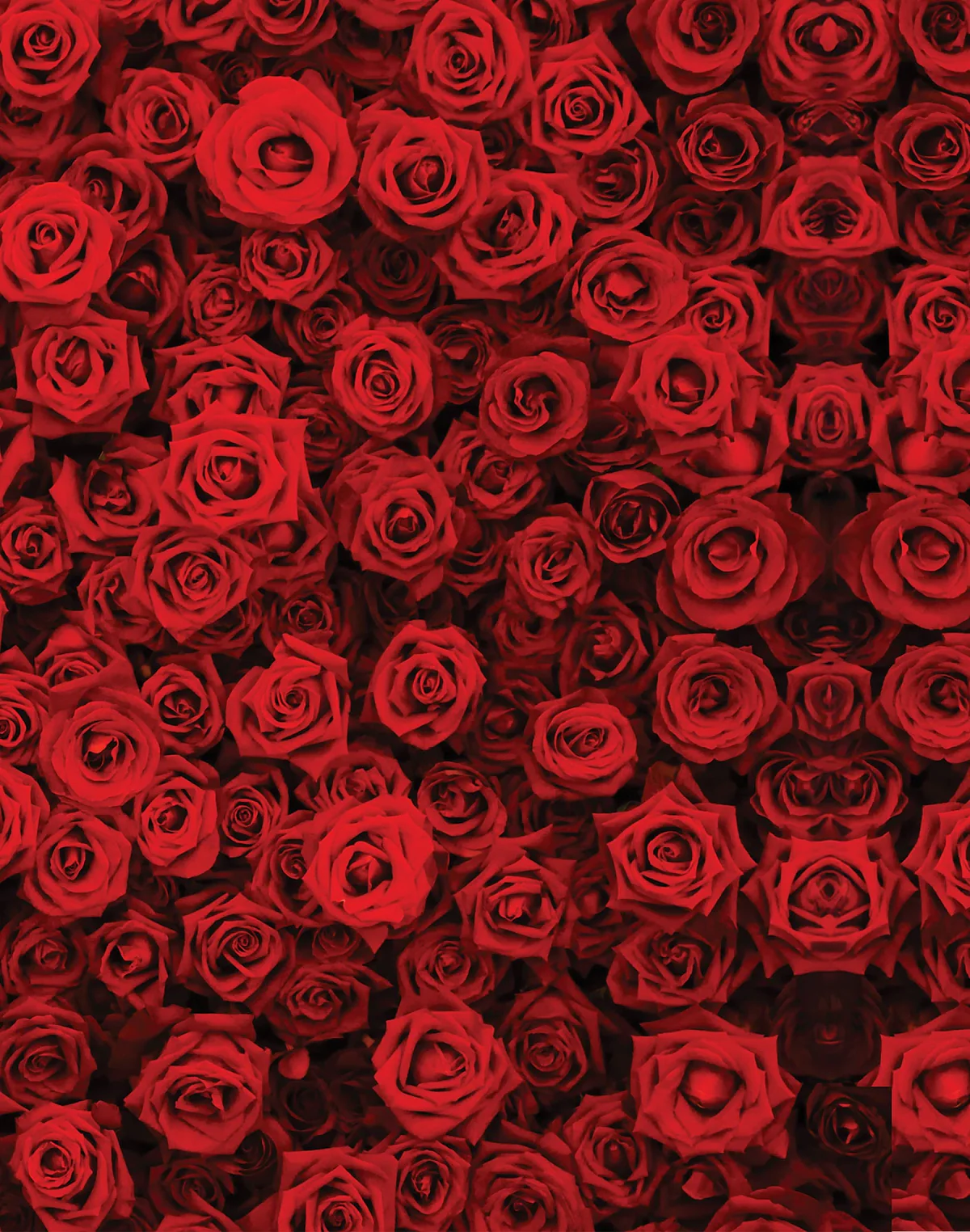 Boxer short Love – Image 3